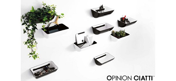 opinion ciatti_1